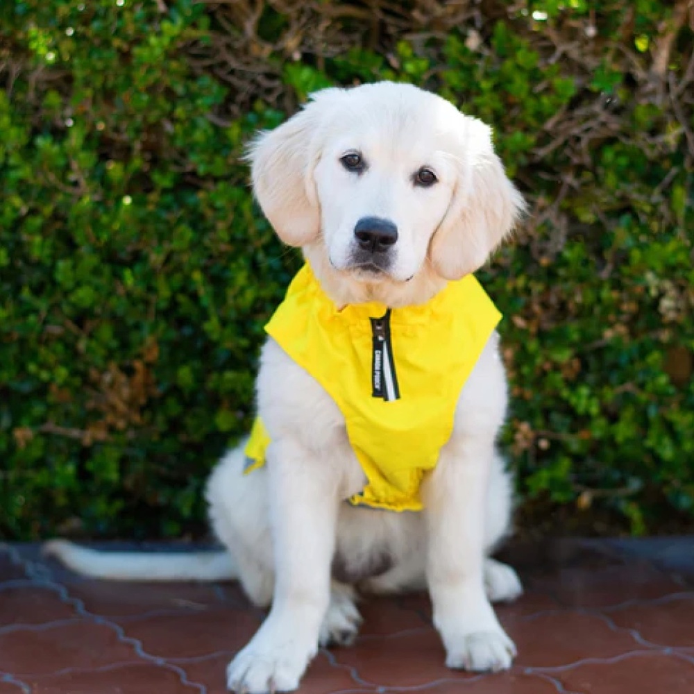 Canada Pooch Grow with Me Yellow Rain Coat - Picture 3 of 9